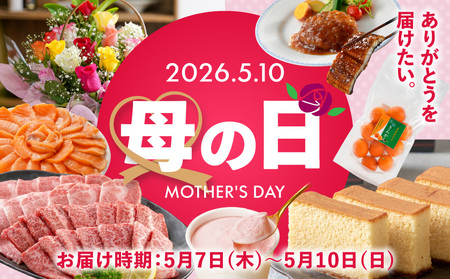 【母の日】OH!オサカーナ5種400g(80g×5)セット≪5月7日～10日お届け≫_LC-9001-MG_(都城市) 小魚 ナッツ ごまいりことアーモンド シーフードミックス 熟成チーズ 大きな柿の種ミックス わさび仕立て 栄養食 健康