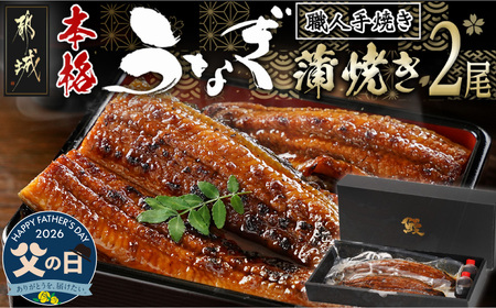 【父の日】職人手焼きの本格うなぎ蒲焼き2尾≪6月18日～21日お届け≫_MJ-33-003-2-FG_(都城市) 国産 本格 うなぎ 鰻 蒲焼 宮崎 じっくり 特製タレ 香り豊かな ふっくら 香ばしい うなぎ