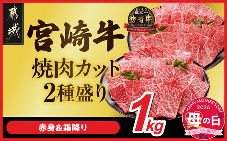 【母の日】宮崎牛焼肉2種セット500g×2パック≪5月7日～10日お届け≫_AC-N2-002-1kg-MG_(都城市) 宮崎牛 肩ロース又はロース ウデ モモ 焼肉 500g  母の日 ギフト