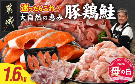 【母の日】≪肉×魚≫小分け3種セット(豚切り落とし250g×2P・鶏モモカット済300g×2P・銀鮭500g)≪5月7日～10日お届け≫_13-8402-MG_(都城市) 小分けパック 冷凍 お弁当 おかず 母の日 ギフト
