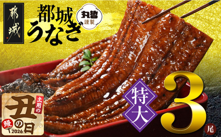 【丑の日】宮崎県育ちの【特大】うなぎ蒲焼3尾680g以上≪山椒・たれ付≫≪7月20日～25日お届け≫_29-M301-UG_(都城市) 特大うなぎ蒲焼(有頭) 宮崎県産 真空 山椒・たれ付 土用の丑の日