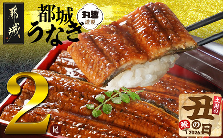 【丑の日】宮崎県育ちのうなぎ蒲焼2尾300g以上≪山椒・たれ付≫≪7月20日～25日お届け≫_13-M301-UG_(都城市) うなぎ蒲焼(有頭) 宮崎県産 真空 山椒・たれ付  土用の丑の日