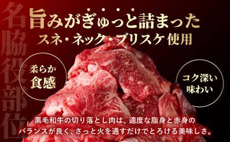 黒毛和牛切り落とし1.2kg_16-7701_(都城市) ネック・スネ・ブリスケ使用 小分けパック 炒め物 煮込み料理
