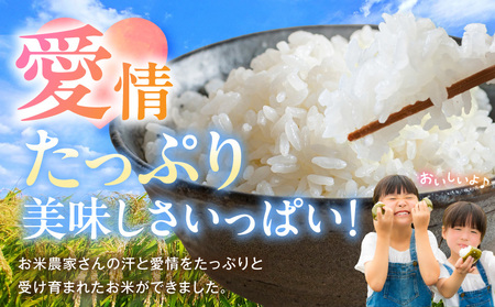 ≪6回お届け!≫都城産米と国産米ブレンド 5kg_T66-6-33-001-5kg_(都城市) お米 国産ブレンド米 5kg 6回 定期便 精米