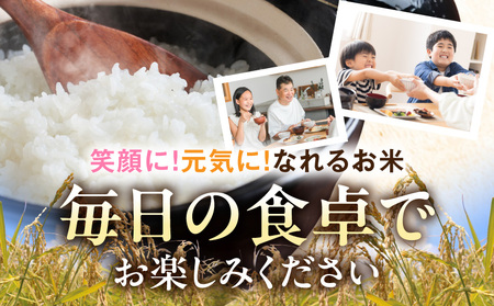 都城産米と国産米ブレンド 15kg≪みやこんじょ特急便≫_31-33-001-15kg-Q_(都城市) お米 国産ブレンド米 15kg 精米