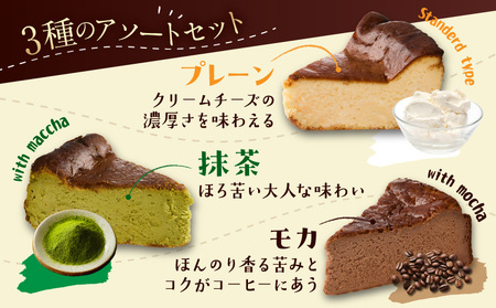 【母の日】「黒髭珈琲」バスクチーズケーキ3種詰合せ8個セット≪5月7日～10日お届け≫_11-9901-MG_(都城市) バスクチーズケーキ プレーン 抹茶 モカ クリームチーズ 個包装 母の日 ギフト
