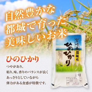 都城産ひのひかり5kg(5kg×1袋)_12-N5-002-5kg_(都城市) 都城産 お米 5kg ひのひかりお弁当 おにぎり