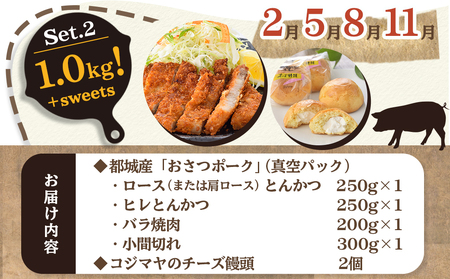 全部真空パック！隔月5回お届け！「おさつポーク」と加工品定期便_TAA5-1403_(都城市) 小分け 真空 かさばらない ブランドポーク 豚肉 加工品 セット バラエティ豊かにお届け おさつポーク チーズ饅頭 小分け 真空パック