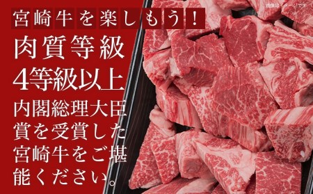 宮崎牛ヒレサイコロステーキ500g_AD-8904_(都城市) 牛肉 サイコロカット ステーキ肉 500グラム ヒレ肉/フィレ肉 希少部位 さいころステーキ 宮崎牛 お誕生日 内祝い ギフト 贈答用