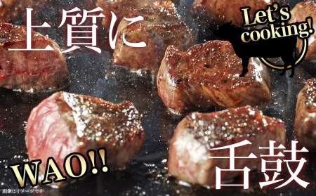 宮崎牛ヒレサイコロステーキ500g_AD-8904_(都城市) 牛肉 サイコロカット ステーキ肉 500グラム ヒレ肉/フィレ肉 希少部位 さいころステーキ 宮崎牛 お誕生日 内祝い ギフト 贈答用