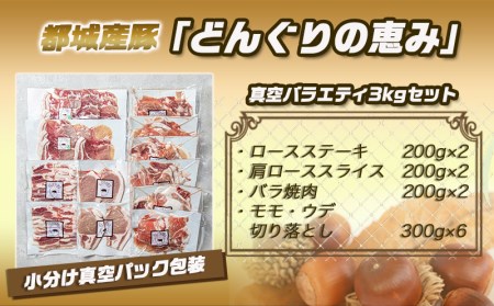 「どんぐりの恵み豚」真空バラエティ3kgセット_17-1101_(都城市) 銘柄豚肉 どんぐりの恵み ロースステーキ バラ焼肉 肩ローススライス モモ ウデ切落とし 200g 300g