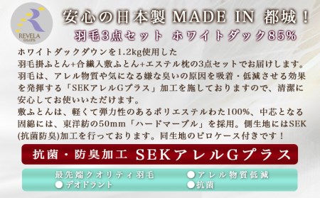 羽毛3点セット ホワイトダック85%【S】_AN-E101_(都城市) ふとんシングル3点セット 羽毛掛布団/150×210cm(ホワイトダックダウン85％) 敷布団/100×210cm 枕/43×63cm 抗菌防臭加工 日本製 寝具 羽毛布団