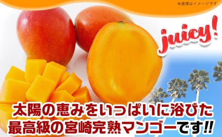 【先行受付!】宮崎完熟マンゴー家庭用1kg以上(都城産)_MJ-3311_(都城産) 特大4Lサイズ(500g以上)2玉 L～3Lサイズ3玉～5玉など組合わせで合計1kg以上 宮崎マンゴー 2025年6月頃～7月頃、発送準備が整い次第お届け 産地直送 規格外