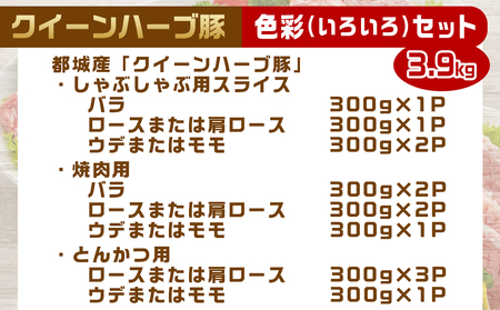 「クイーンハーブ豚」色彩(いろいろ)3.9kgセット_AD-2903_(都城市) 豚肉を堪能 小分け 一人暮らし カット×部位が8種類楽しめる 食べ比べ しゃぶしゃぶ/焼肉/とんかつ用 ロース肉/ウデ肉/バラ肉 合計13P