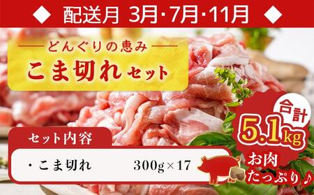 「どんぐりの恵み豚」エンジョイ定期便(10ヶ月)_T80(10)-1102_(都城市) スライスセット 焼肉 スペアリブ こま切れ しゃぶしゃぶセット ブランド豚 10ヶ月 毎月お届け 毎日のお料理に