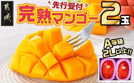 【先行受付!】都城産完熟マンゴー(A等級 2玉)_AC-0101