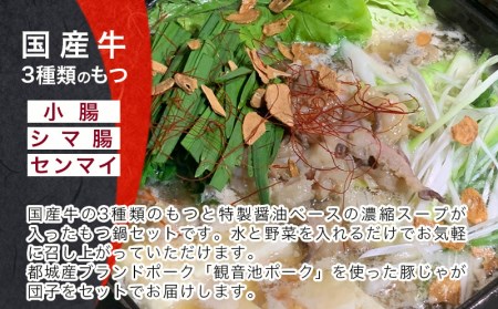 中川ホルモンの牛もつ鍋セット Mj 1527 宮崎県都城市 ふるさと納税サイト ふるなび