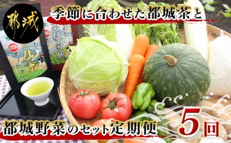 季節に合わせた都城茶と都城野菜のセット定期便(5回) - 都城茶 野菜セット 季節の野菜_T40（5）-3701