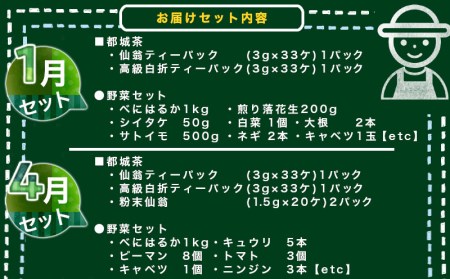 季節に合わせた都城茶と都城野菜のセット定期便(5回) - 都城茶 野菜セット 季節の野菜_T40（5）-3701