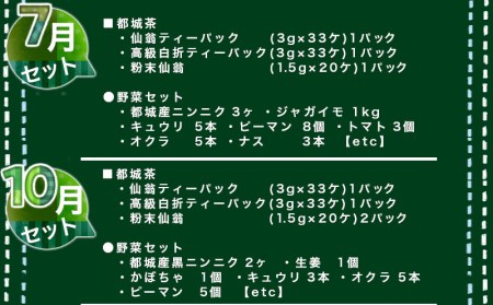 季節に合わせた都城茶と都城野菜のセット定期便(5回) - 都城茶 野菜セット 季節の野菜_T40（5）-3701