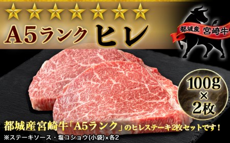 宮崎牛ヒレステーキ(A5)100g×2枚_18-0103_(都城市) 牛肉 牛ヒレステーキ用肉 A5等級 A5ランク 100g×2枚 真空パック ステーキソース 塩こしょう付 赤身 フィレ おうち時間 ギフト 贈答用