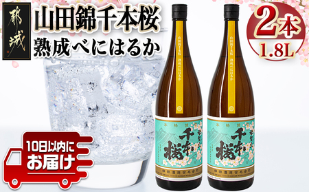 【柳田酒造】山田錦千本桜 熟成べにはるか(25度)1.8L×2本 ≪みやこんじょ特急便≫_AC-0750_(都城市) 本格芋焼酎 熟成 お湯割 ロック ソーダ割 伝統製法 老舗 家飲み 宅飲み 紅はるか 定番焼酎