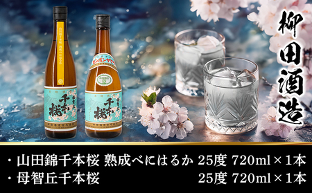 【柳田酒造】山田錦千本桜・母智丘千本桜(25度)720ml×2本 ≪みやこんじょ特急便≫_AA-0751_(都城市) 本格芋焼酎 べにはるか 熟成 お湯割/ロック/ソーダ割 伝統製法/老舗 家飲み/宅飲み 定番焼酎