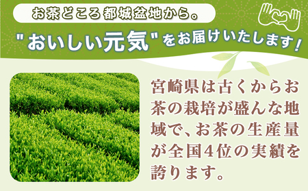 コロナに負けない 元気モリモリ福袋 おうち時間リフレッシュ 都城産特上煎茶 新茶 4本セット 4802 宮崎県都城市 ふるさと納税サイト ふるなび