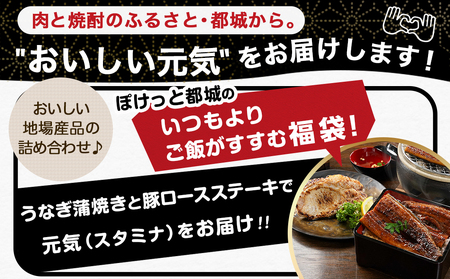 【元気モリモリ福袋】職人手焼きうなぎ蒲焼き2尾＆豚ロースステーキ6枚_AC-3305_(都城市) 豚肉 鰻 国産 うなぎの蒲焼 2尾 タレ付き 麹味噌漬け豚ロース肉 6枚