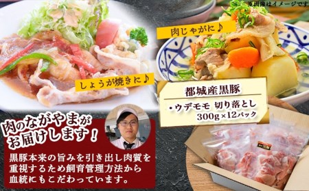黒豚ウデ・モモ切り落とし3.6kg_MJ-2520_ (都城市) 豚肉 都城産黒豚ウデ・モモ切落し肉 300g×12パック 計3.6キロ ポーク 冷凍 小分けパック おかず 野菜炒め 肉じゃが 生姜焼き カレー 国産