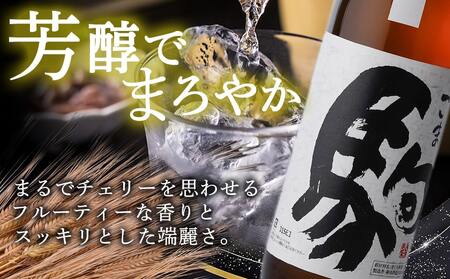 芋焼酎・麦焼酎・たね酒4本セット≪みやこんじょ特急便≫_MK-3506_(都城市) 芋焼酎 麦焼酎 千本桜 特別仕込み 駒 たね酒 900ml瓶 720ml瓶 計4本セット 