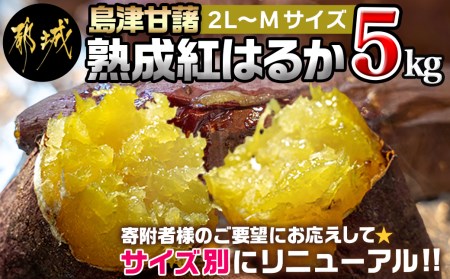 島津甘藷 熟成紅はるか 5kg(2L～M) _LD-A701_(都城市) 幻のサツマイモ