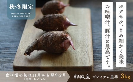 Fukunowa 里芋 赤芽芋 セレベス 3kg I1 宮崎県都城市 ふるさと納税サイト ふるなび