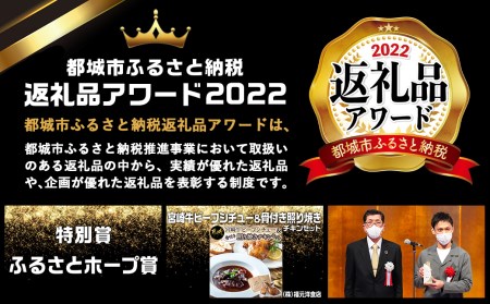 宮崎牛ビーフシチュー&骨付き照り焼きチキンセット_AA-H302_(都城市) 宮崎牛ビーフシチュー 200g×2P 骨付き照り焼きチキン 2本 約200g 真空パック