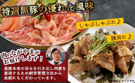黒豚ロース＆ウデモモ切り落とし2.8kg_AC-2511_(都城市) 豚肉 都城産黒豚ロース肉 500g×2パック ウデモモ切落とし 300g×6パック 計2.8キロ ポーク 冷凍 セット おかず しゃぶしゃぶ 野菜炒め