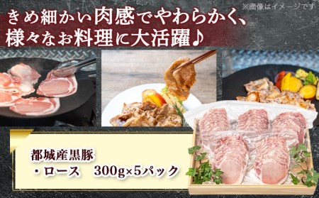 都城産黒豚ロース鉄板焼用1.5kg_AA-2507_(都城市) 豚肉 都城産黒豚 ロース 300g×5パック 国産 焼肉 しょうが焼き 野菜炒め 豚丼 厚切りスライス 冷凍保存