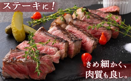 宮崎牛リブロースブロック3kg_DI-2501_(都城市) 都城産宮崎牛 リブロースブロック ３kg 霜降り肉 ローストビーフ ステーキ ビーフカレー キャンプで豪快に 鉄板焼き 国産 ブランド牛 牛肉 ギフト 贈答用