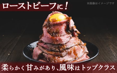 宮崎牛リブロースブロック3kg_DI-2501_(都城市) 都城産宮崎牛 リブロースブロック ３kg 霜降り肉 ローストビーフ ステーキ ビーフカレー キャンプで豪快に 鉄板焼き 国産 ブランド牛 牛肉 ギフト 贈答用