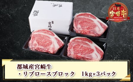 宮崎牛リブロースブロック3kg_DI-2501_(都城市) 都城産宮崎牛 リブロースブロック ３kg 霜降り肉 ローストビーフ ステーキ ビーフカレー キャンプで豪快に 鉄板焼き 国産 ブランド牛 牛肉 ギフト 贈答用