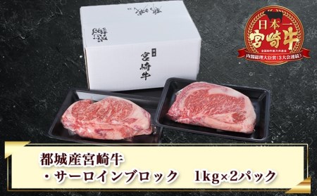 宮崎牛サーロインブロック2kg_DI-2502_(都城市) サーロインブロック 1kgブロック×2 ステーキ 2キロ 国産牛 A4ランク 4等級 キャンプで豪快に 3大会連続内閣総理大臣賞受賞 ギフト 贈答用