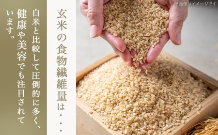 【玄米】特別栽培米ぼんちそだち10kg_都城産玄米10キロ（5kg×2袋）食物繊維 ぷちぷち食感 化学合成農薬・化学肥料を通常より5割削減 おにぎりに 玄米食 ビタミン ミネラル_MJ-I102