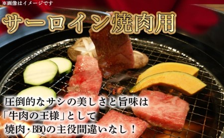 【A5】宮崎牛サーロイン焼肉×スライスギフト1kg【化粧箱入り】_AI-0102_(都城市) 最高級A5ランク 宮崎牛サーロイン 焼き肉用 サーロインスライス 各500g 木製化粧箱 牛肉 食べ応え ギフト 贈答用