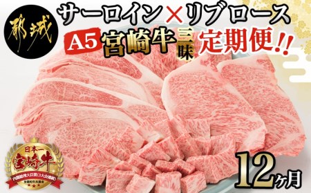 【A5】宮崎牛サーロイン×宮崎牛リブロース三昧定期便(12ヶ月)_TAE12-0101_(都城市) 都城産宮崎牛 牛肉 スライス / サイコロ / 焼肉 / ステーキ サーロイン リブロース