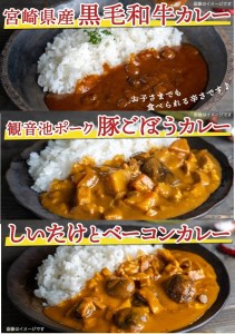 みやざきカレー3種セット_LB-1502_(都城市) レトルトカレー 宮崎県産黒毛和牛カレー / 観音池ポーク豚ごぼうカレー / 都城産しいたけとベーコンカレー 湯煎調理 アウトドア 食べ比べ 1人暮らし ポスト投函