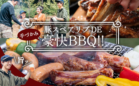 国産豚スペアリブ2.4kg_AA-1539_(都城市) スペアリブ (300g×8パック