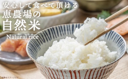 都城市高崎町産ひのひかり「自然米」15kg (都城市) 令和4年産 5kg×3袋 宮崎県都城市高崎町産ヒノヒカリ 白米 お米15kg おこめ 九州宮崎県産 産地直送 精米 恵農場_AC-6801