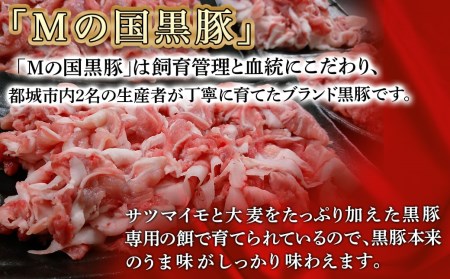 都城産黒豚「Mの国黒豚」切り落とし2.8kg≪みやこんじょ特急便≫_MJ-0108-Q_(都城市) 豚肉2.8キロセット ウデモモ 切り落とし ブランド豚 切落とし肉 400g×7パック 銘柄豚 豚肉セット 小分け パック