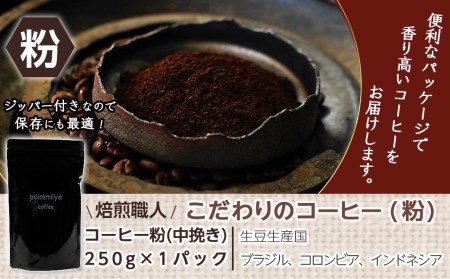 焙煎職人こだわりのコーヒー【粉】250g 小分けパック(ジッパー・バルブ付) ※中深煎り※_LA-3302_(都城市) コーヒー粉 250g×1パック 少量パック ジッパー・バルブ付き 保存に便利 ポスト投函 珈琲