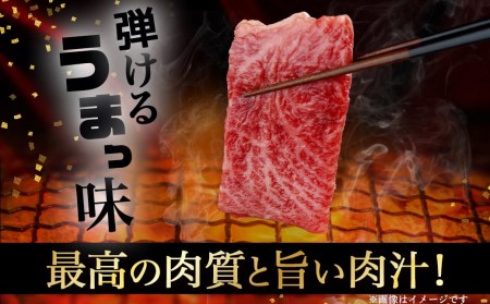 【A5】宮崎牛焼肉3種食べ比べセット【三角バラ・イチボ・モモ】_AC-0110_(都城市) 都城産宮崎牛 A5 三角バラ焼肉用 モモ焼肉用 イチボ焼肉用 各120g 1トレー盛り合わせ 焼肉