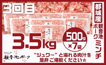 使い勝手抜群☆豚肉＆鶏肉の万能定期便(3ヶ月)_T24(3)-9201_(都城市) 切り落とし/ウデ/モモ 宮崎県産 若鶏もも肉切り身 都城産「観音池ポーク」 ミンチ 真空パック 201